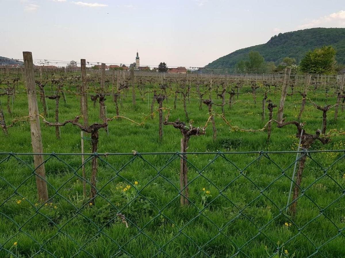 Gästezimmer Rolea Privatunterkunft Dürnstein